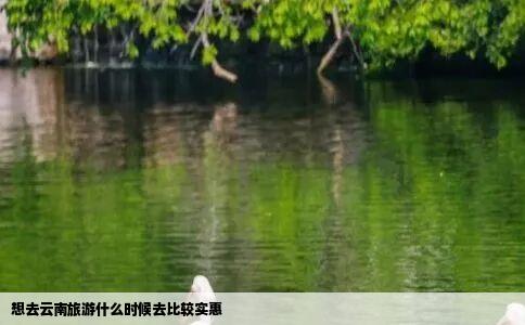 想去云南旅游什么时候去比较实惠