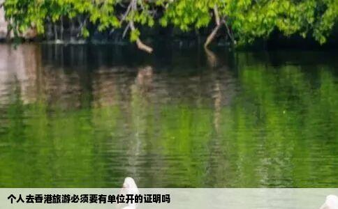 个人去香港旅游必须要有单位开的证明吗