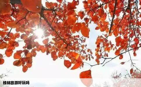 桂林旅游好玩吗