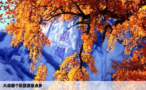 大连哪个区旅游景点多