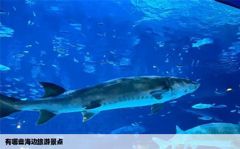 有哪些海边旅游景点