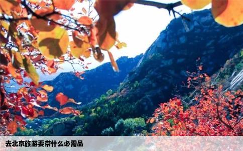 去北京旅游要带什么必需品