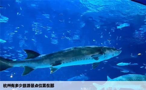 杭州有多少旅游景点位置在那