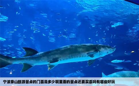 宁波象山旅游景点的门票是多少啊里面的景点还要买票吗有哪些好玩