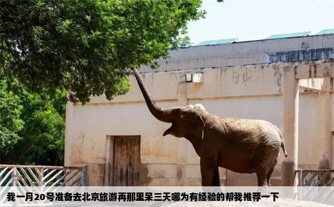 我一月20号准备去北京旅游再那里呆三天哪为有经验的帮我推荐一下